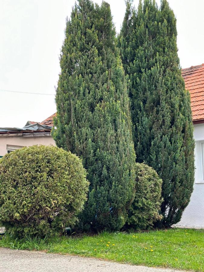Apartmani Emily & Jully Nikšić Kültér fotó